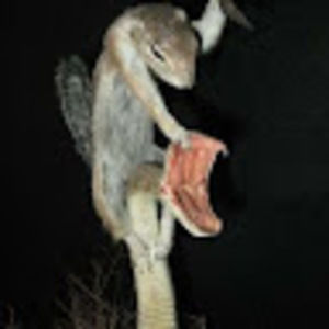 Meet your Posher, Rhonda